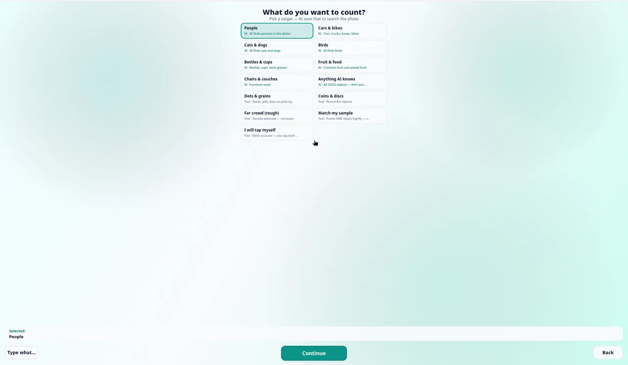 The What do you want to count? list: People, Cars & bikes, Cats & dogs, Birds, Bottles & cups, Fruit & food, Chairs & couches, Anything AI knows, Dots & grains, Coins & discs, Far crowd (rough), Match my sample and I will tap myself, with a Continue button